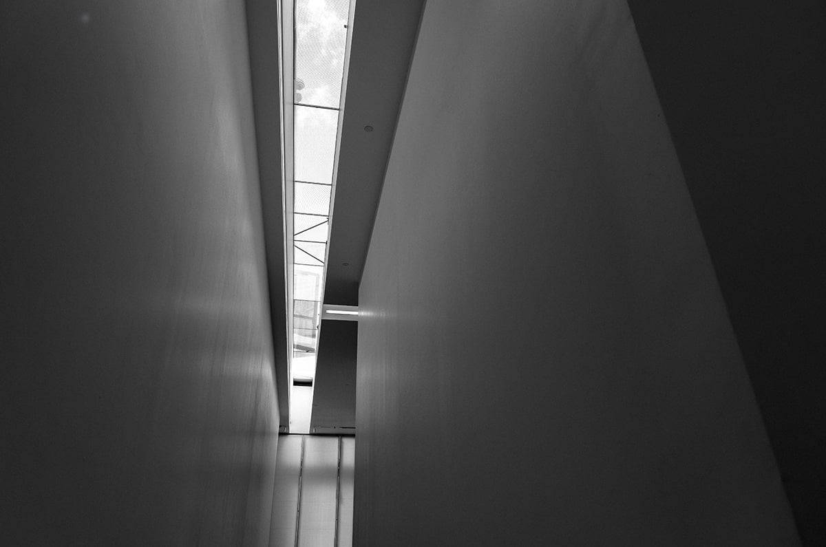 【题干】4.  The professor was deli